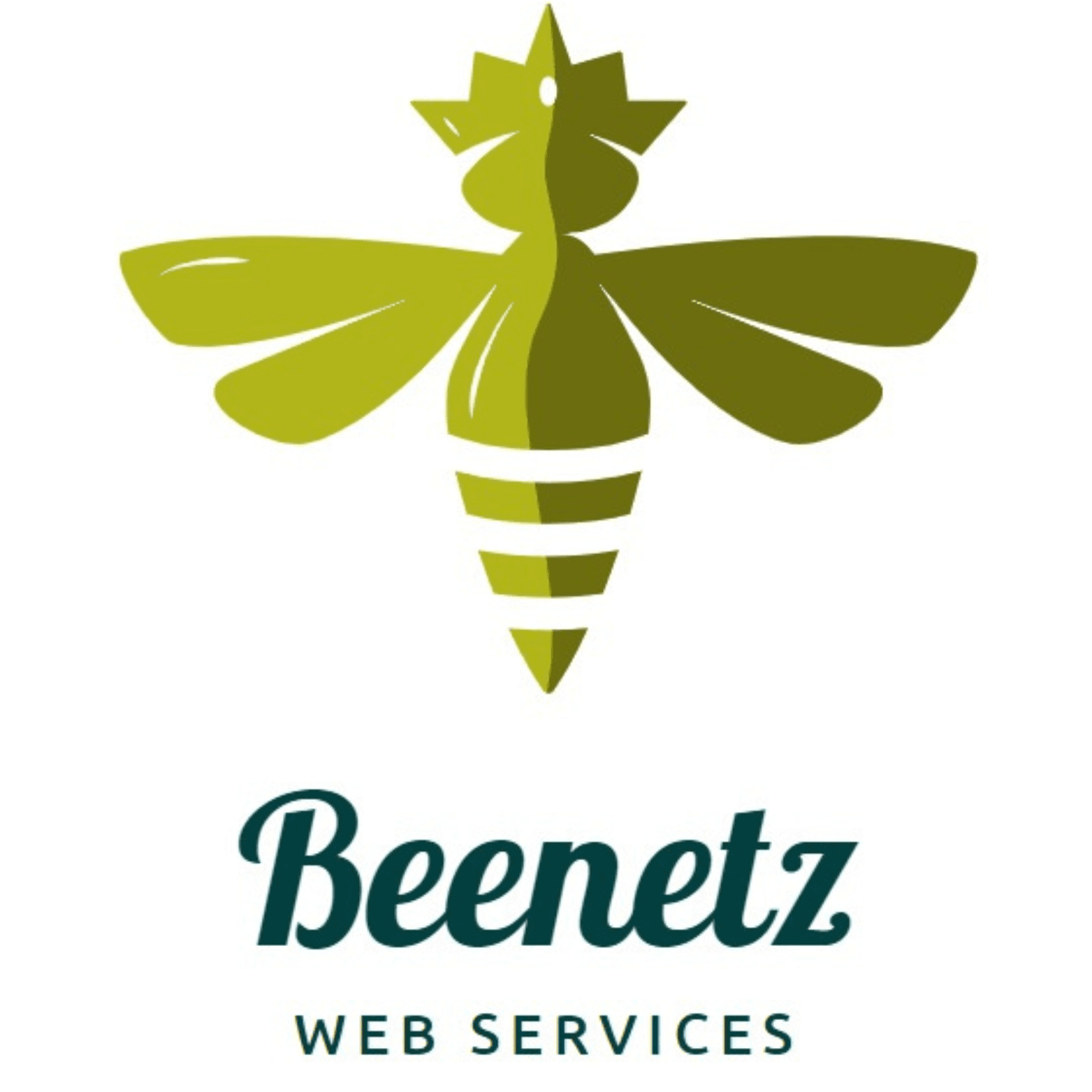 Low Cost Web Design&Development Services In Chennai
